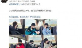 lpl教练爆料冰岛视频,冰岛选手训练幕后视频曝光